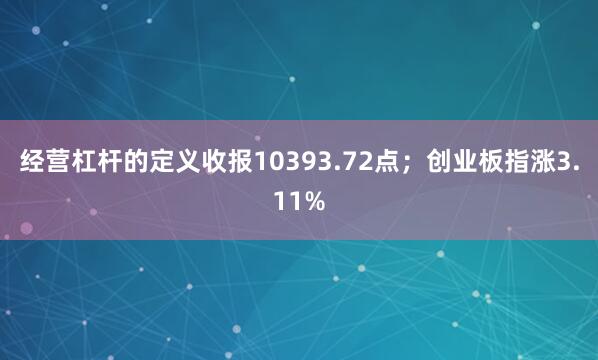 经营杠杆的定义收报10393.72点；创业板指涨3.11%