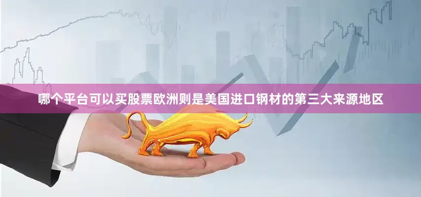 哪个平台可以买股票欧洲则是美国进口钢材的第三大来源地区