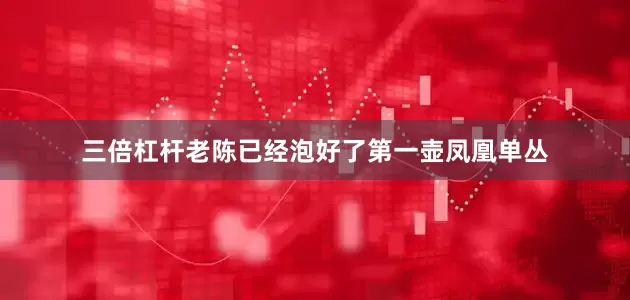 三倍杠杆老陈已经泡好了第一壶凤凰单丛